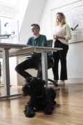 Ein Mann mit Brille und grünem Pullover, Jeans und Sneakern sitzt an einem Schreibtisch. Neben ihm steht eine Frau in dunkler, locker sitzender Hose, Sneakern und beigen Pullover. Sie hält eine Kaffeetasse in der Hand und unterhält sich mit dem Mann. Der Fokus des Bildes liegt auf den liegenden schwarzen Hund im Vordergrund.