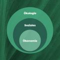 A graph showing the three pillars economy, social affairs and ecology in the sense of a holistic approach